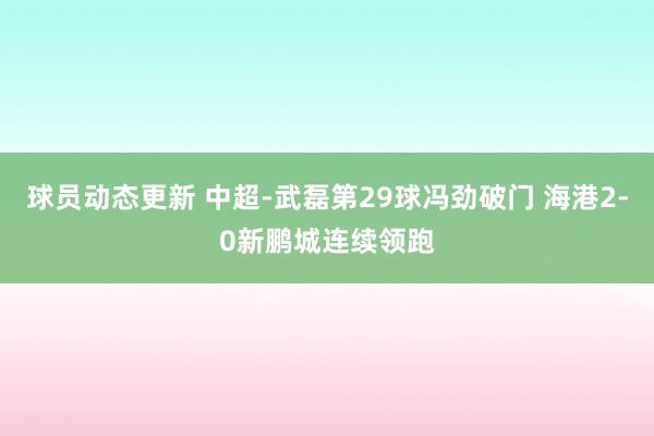 球员动态更新 中超-武磊第29球冯劲破门 海港2-0新鹏城连续领跑