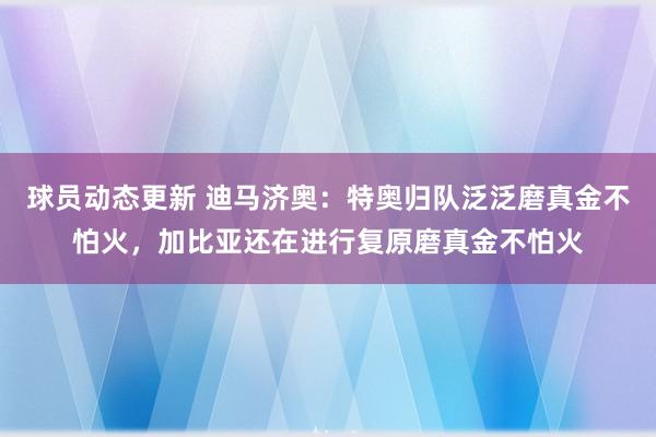 球员动态更新 迪马济奥：特奥归队泛泛磨真金不怕火，加比亚还在进行复原磨真金不怕火