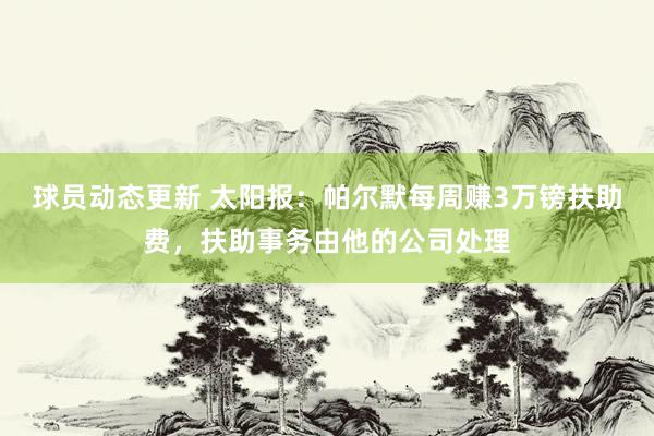 球员动态更新 太阳报：帕尔默每周赚3万镑扶助费，扶助事务由他的公司处理