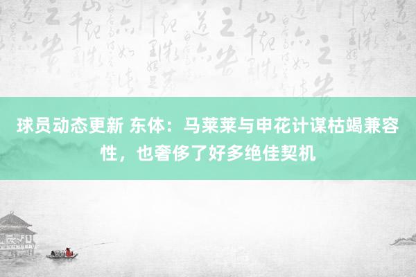 球员动态更新 东体：马莱莱与申花计谋枯竭兼容性，也奢侈了好多绝佳契机