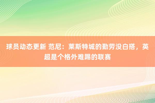 球员动态更新 范尼：莱斯特城的勤劳没白搭，英超是个格外难踢的联赛