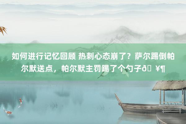 如何进行记忆回顾 热刺心态崩了？萨尔踢倒帕尔默送点，帕尔默主罚踢了个勺子🥶